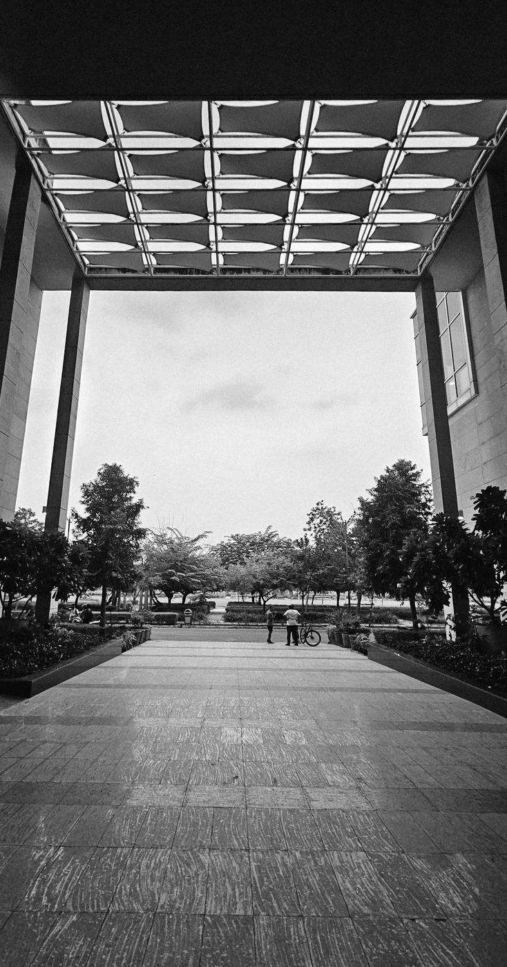 PhD journey photo